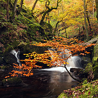 Buy canvas prints of Autumn waterfalls by John Finney