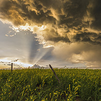 Buy canvas prints of Thunderstorm sunset over Montana by John Finney