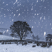 Buy canvas prints of Hayfield Winter Snow by John Finney