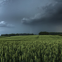 Buy canvas prints of North Yorkshire Lightning over Crops by John Finney