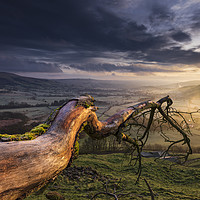 Buy canvas prints of Hope Valley, Fallen tree sunrise by John Finney