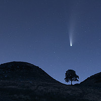 Buy canvas prints of Comet Neowise Over Sycamore Gap  by John Finney