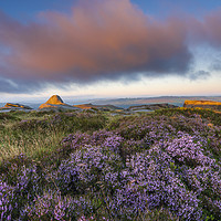 Buy canvas prints of Purple Heather Sunrise, Derbyshire  by John Finney