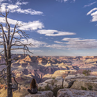 Buy canvas prints of Contemplation over the Grand Canyon  by John Finney