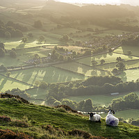 Buy canvas prints of Two Spring Lambs above Bamford, Peak District  by John Finney