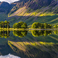 Buy canvas prints of The Buttermere Trees by John Finney