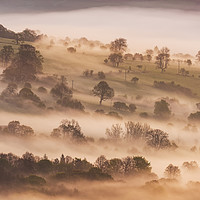 Buy canvas prints of Hope Valley trees at sunrise by John Finney