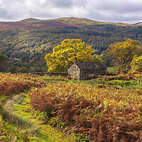 Buy canvas prints of Lake District Autumn landscape by John Finney