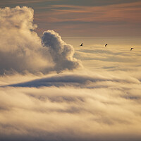 Buy canvas prints of Birds flying over an inversion at sunrise by John Finney
