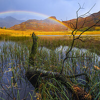 Buy canvas prints of Autumn light in the Lake District by John Finney