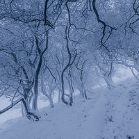 Buy canvas prints of Rushup Edge Trees in Winter by John Finney
