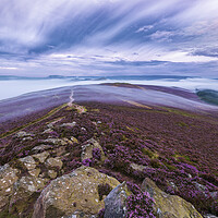 Buy canvas prints of Purple carpet at Dawn. Win Hill, Derbyshire by John Finney
