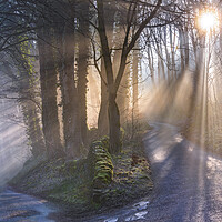 Buy canvas prints of Woodland light rays by John Finney