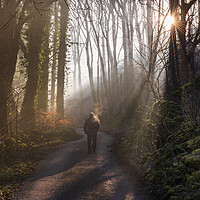 Buy canvas prints of A walk in a woodland wonderland by John Finney