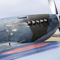 Buy canvas prints of Spitfire by Nigel Poore