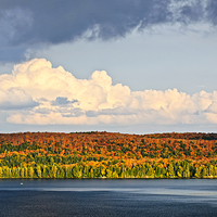 Buy canvas prints of Fall forest and lake by ELENA ELISSEEVA