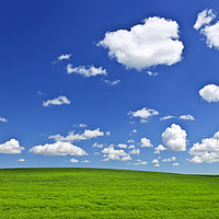 Buy canvas prints of Green rolling hills under blue sky by ELENA ELISSEEVA