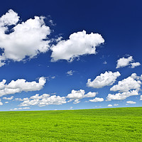 Buy canvas prints of Green rolling hills under blue sky by ELENA ELISSEEVA
