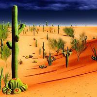 Buy canvas prints of American desert by Dariusz Miszkiel