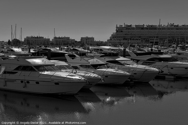 Vilamoura boats in Monochrome Picture Board by Angelo DeVal
