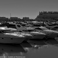 Buy canvas prints of Vilamoura boats in Monochrome by Angelo DeVal