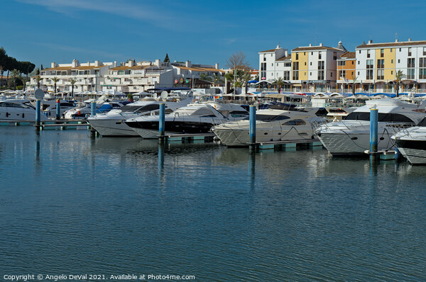 Marina in Vilamoura - Algarve Picture Board by Angelo DeVal