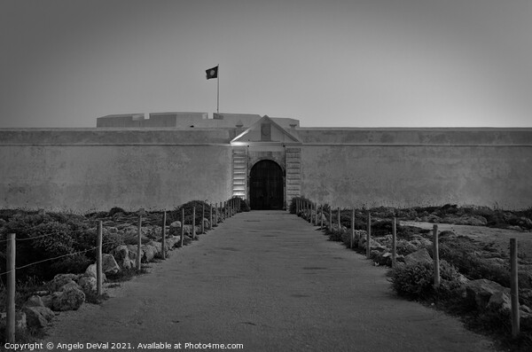 Sagres Fortress in Monochrome Picture Board by Angelo DeVal