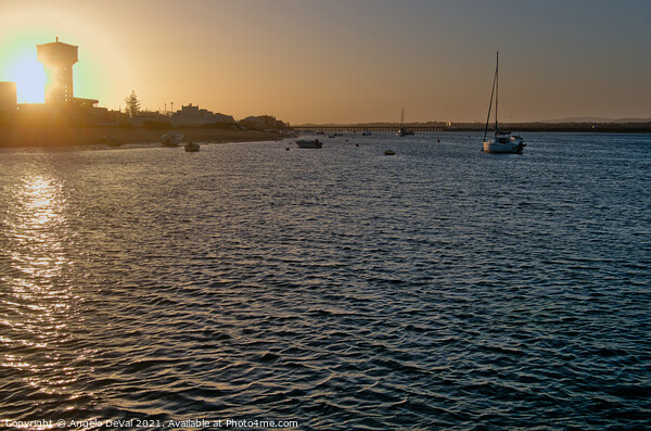 Sunset Time in Faro Island. Algarve Picture Board by Angelo DeVal