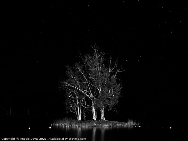 Sao Domingos Beach Islet at Night in Monochrome Picture Board by Angelo DeVal