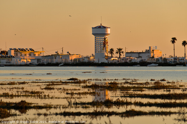 Ria Formosa view of the Faro Island Picture Board by Angelo DeVal