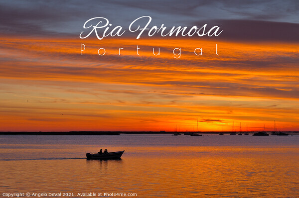 Ria Formosa Postcard - Portugal Picture Board by Angelo DeVal