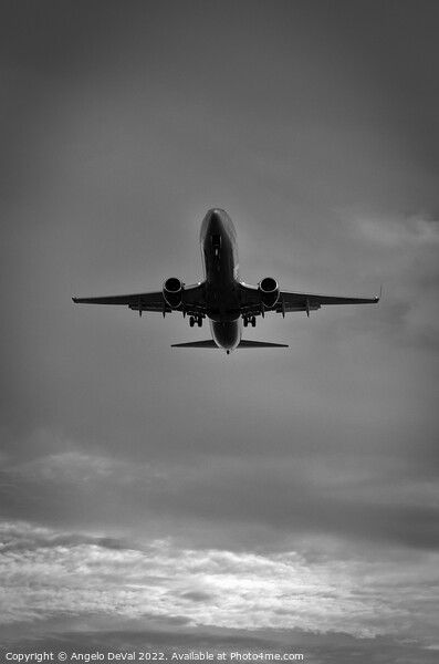 Airplane Approaching Airport in Monochrome Picture Board by Angelo DeVal