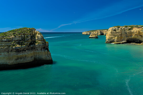 Turquoise by the Cliffs in Algarve Picture Board by Angelo DeVal