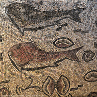 Buy canvas prints of Roman Fish Mosaic of Milreu by Angelo DeVal