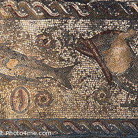Buy canvas prints of Roman Fish Mosaic Panel in Milreu by Angelo DeVal