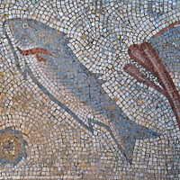 Buy canvas prints of Roman Fish Mosaic in Milreu by Angelo DeVal