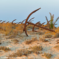Buy canvas prints of Anchors in Barril Beach by Angelo DeVal