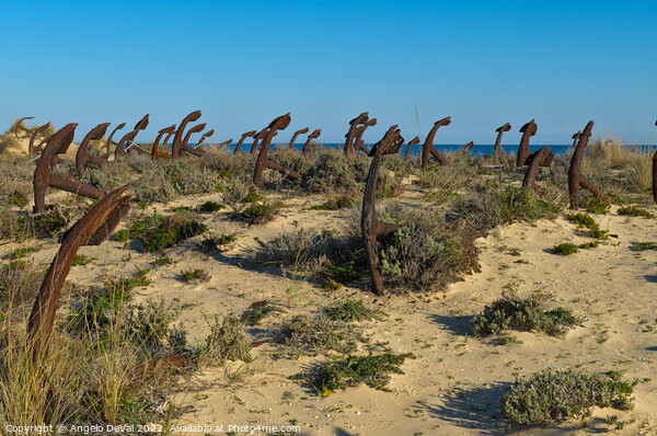 Anchors On The Beach Dunes. Algarve Picture Board by Angelo DeVal