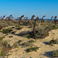 Buy canvas prints of Anchors On The Beach Dunes. Algarve by Angelo DeVal