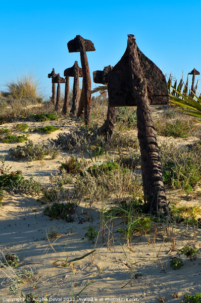 Anchors Resting on Tavira Beach Sands Picture Board by Angelo DeVal