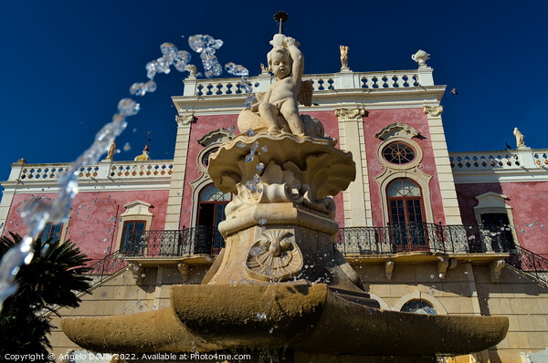 Estoi Palace Fountain Picture Board by Angelo DeVal