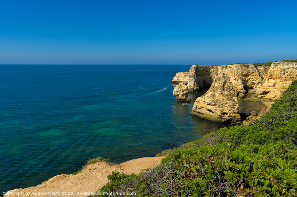Cliffs and Vegetation in Marinha beach Picture Board by Angelo DeVal