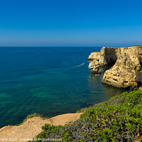Buy canvas prints of Cliffs and Vegetation in Marinha beach by Angelo DeVal