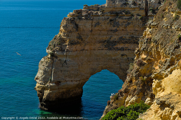 Cliffs Arch in Praia da Marinha Picture Board by Angelo DeVal