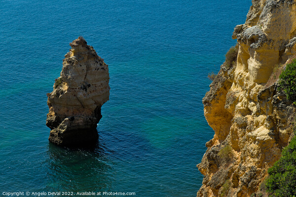 Cliffs and Ocean in Carvoeiro Picture Board by Angelo DeVal