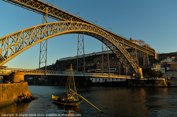 View of Porto bridge from the riverside  Picture Board by Angelo DeVal