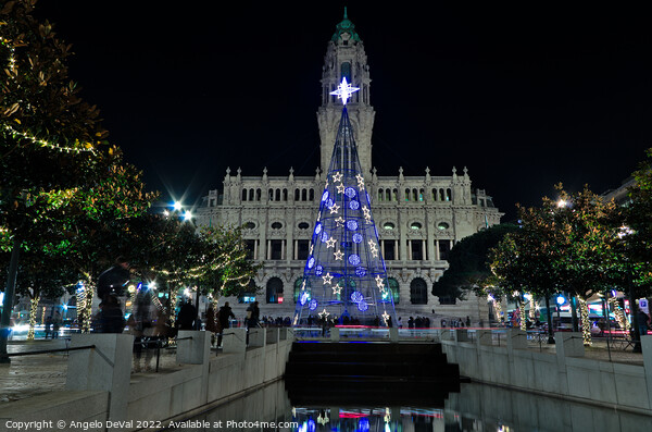 Camara do Porto building during Christmas Picture Board by Angelo DeVal