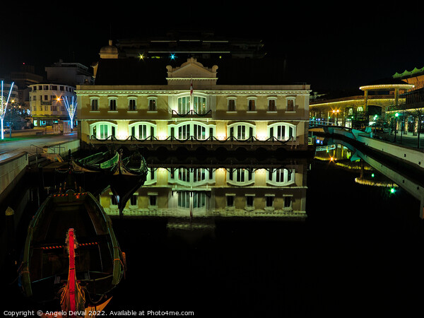 Aveiro canal night scene Picture Board by Angelo DeVal