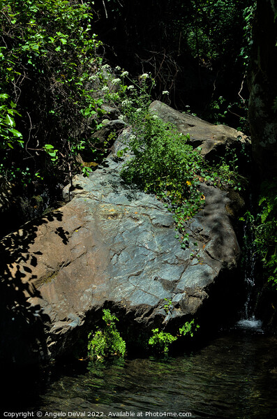 Secret Nature Spot in Almonaster, Spain Picture Board by Angelo DeVal