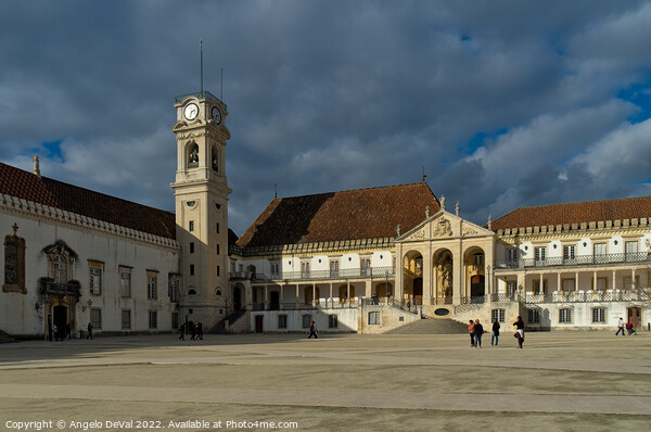 Coimbra University View Picture Board by Angelo DeVal